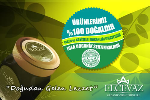 Organik Ceviz Reeli
