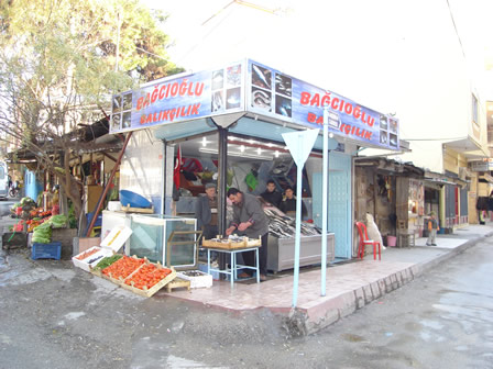Kadirli Rehberi - Bacolu Balkclk