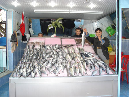 Kadirli Rehberi - Bacolu Balkclk