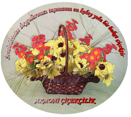 Kadirli Rehberi - Armoni iekilik